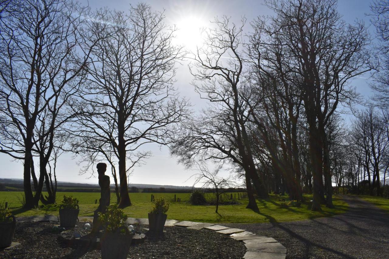 Crug Glas Country House St. Davids  Kültér fotó