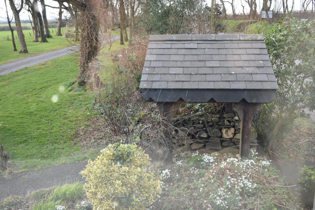 Crug Glas Country House St. Davids  Kültér fotó